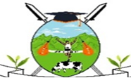 Partner Nandi