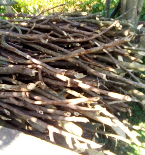 Firewood