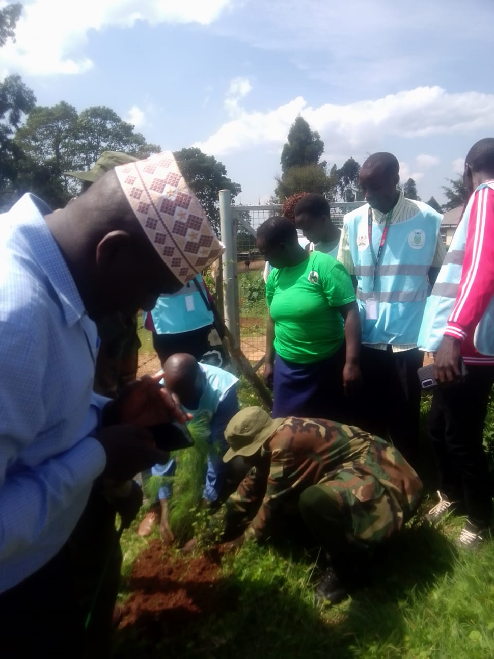 Tree planting