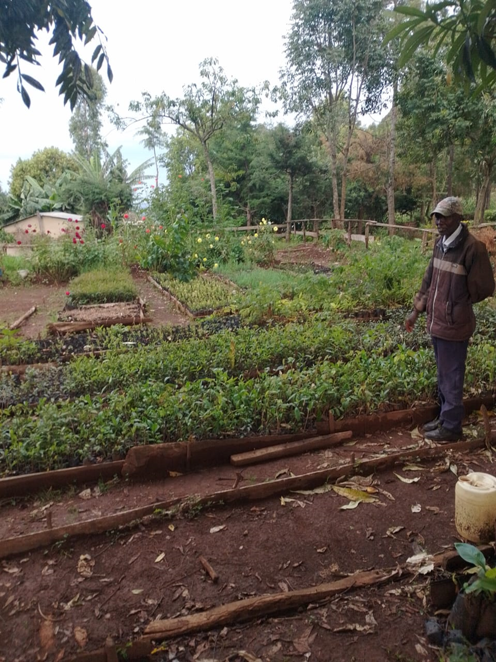 Tree Nursery
